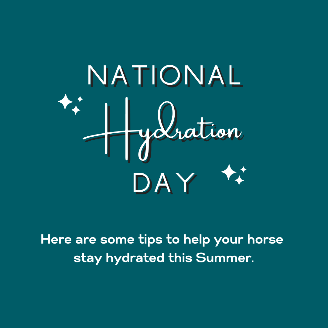 National Hydration Day!