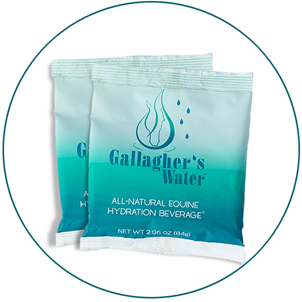 Gallagher’s Water two pack