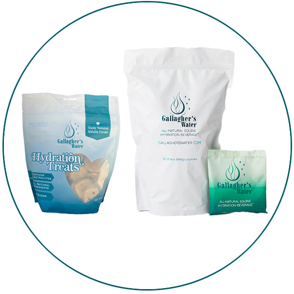 Gallagher’s Water 12-pack plus Hydration Treats bundle