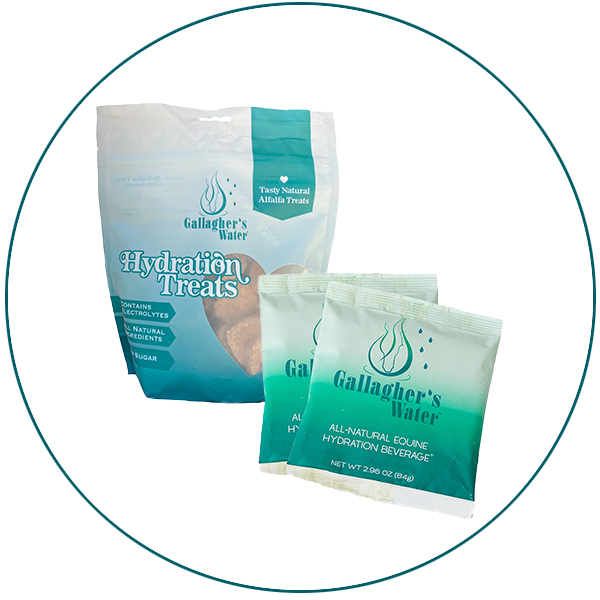 Gallagher’s Water two pack plus Hydration Treats bundle