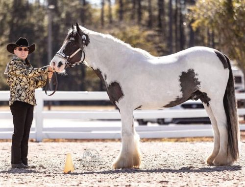 Shared Experience Relieves Worries for Horse Owner