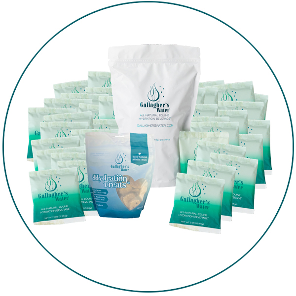 Gallagher’s Water Trainer’s Case 120-pack plus Hydration Treats bundle