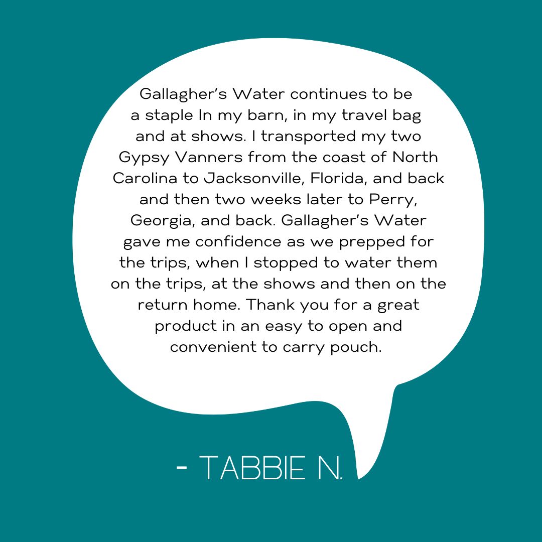 IG-tabbie Emory & Henry Equestrian Program